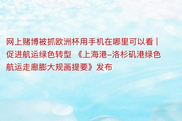 网上赌博被抓欧洲杯用手机在哪里可以看 | 促进航运绿色转型 《上海港-洛杉矶港绿色航运走廊膨大规画提要》发布